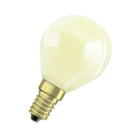 LIFE BULB